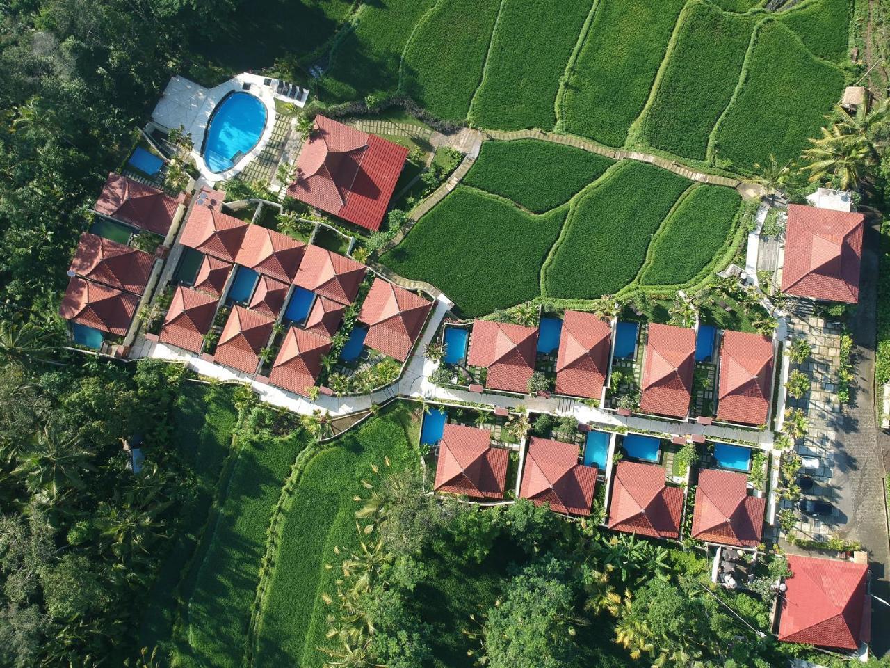 Vrindavan Ubud Villa Tegallalang  Bagian luar foto