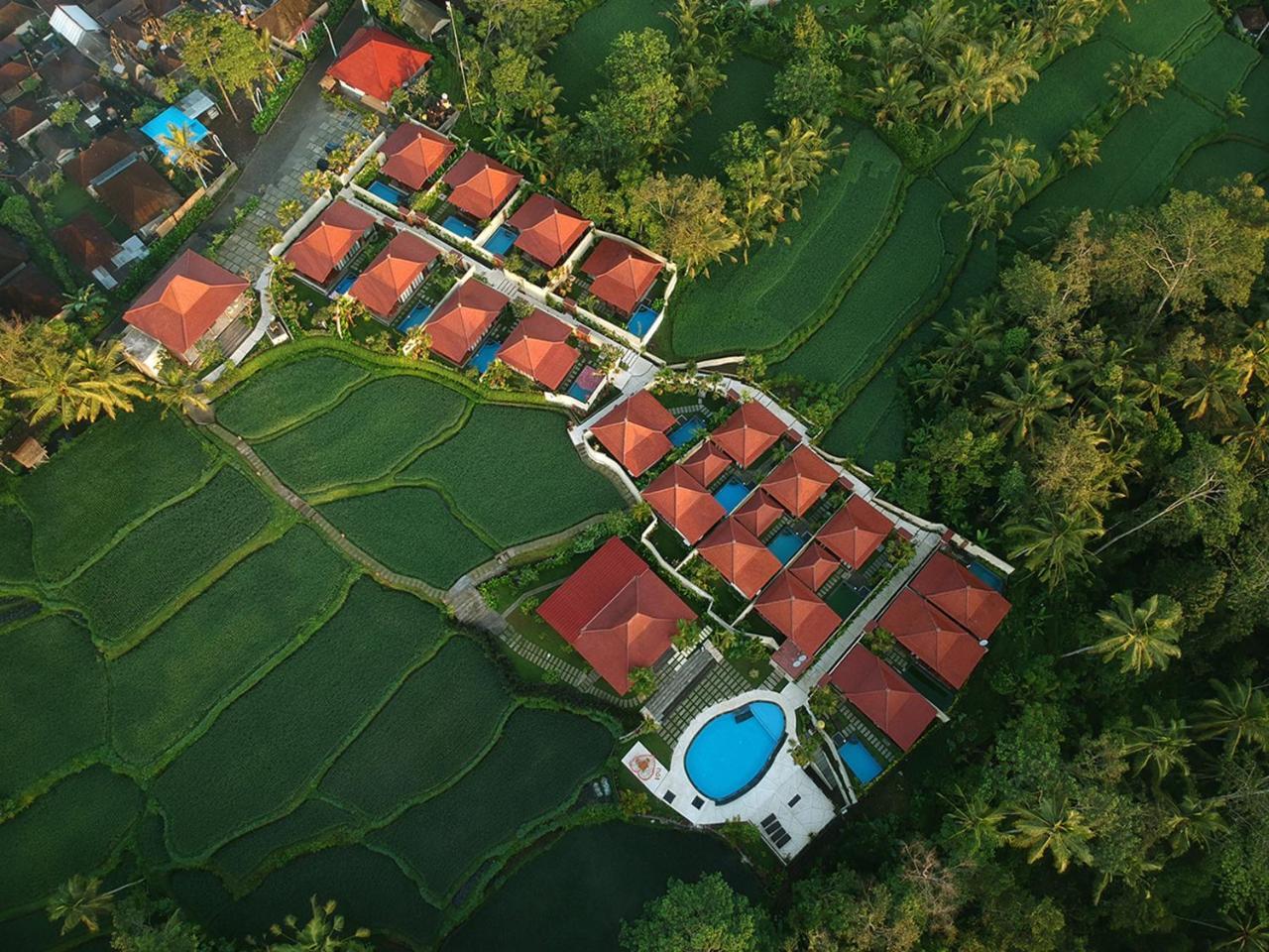 Vrindavan Ubud Villa Tegallalang  Bagian luar foto