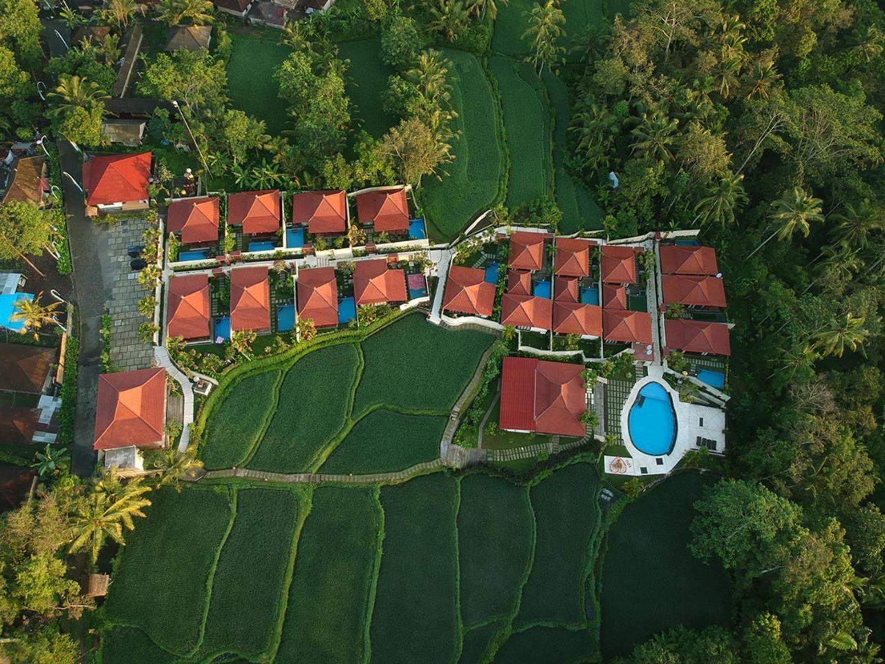 Vrindavan Ubud Villa Tegallalang  Bagian luar foto