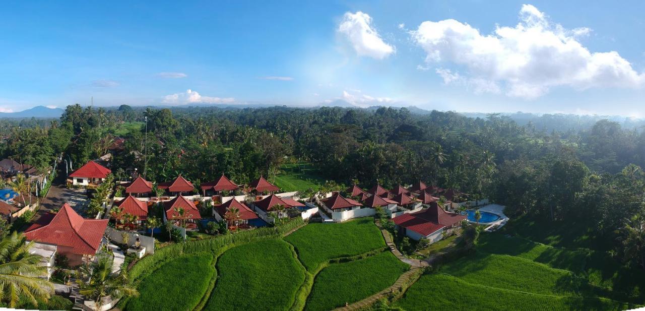 Vrindavan Ubud Villa Tegallalang  Bagian luar foto